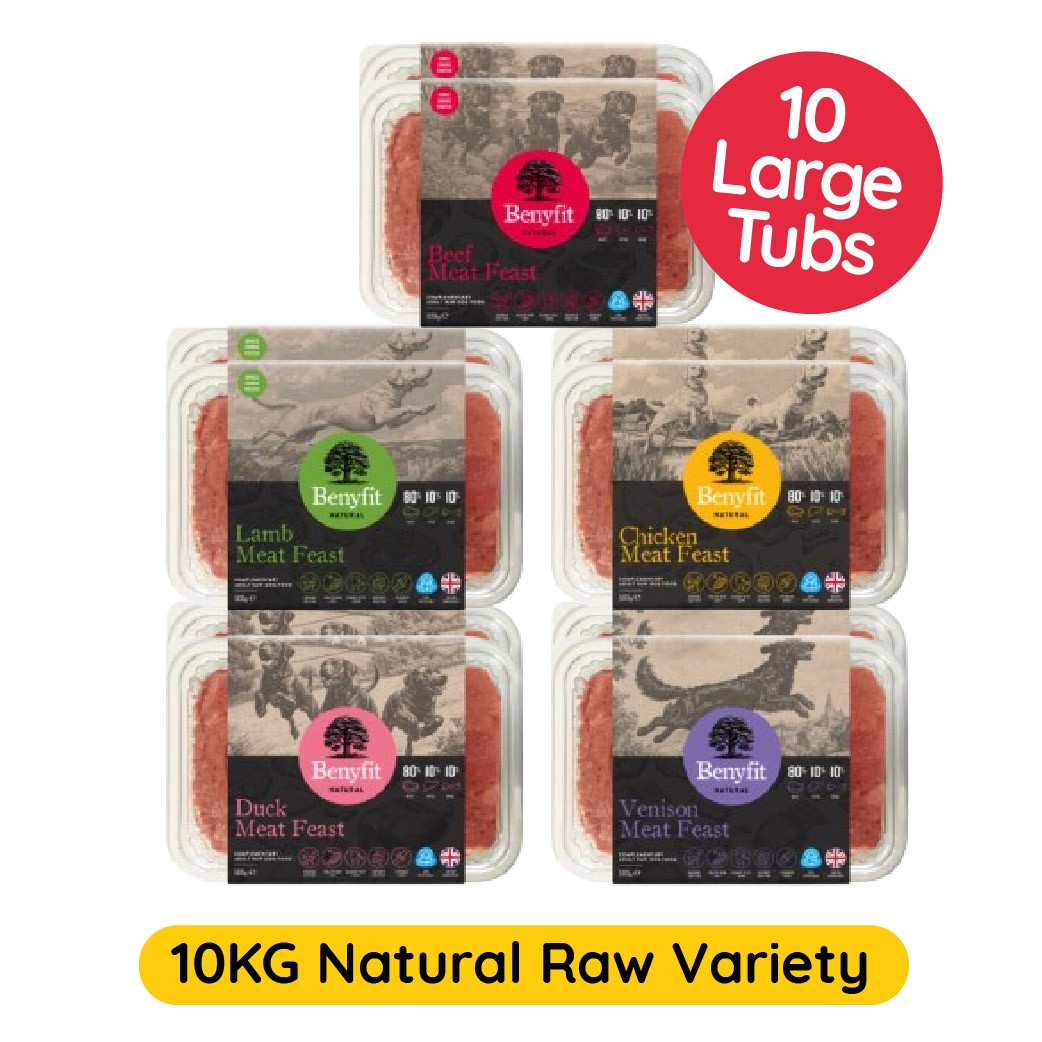 Benyfit Natural Benyfit Natural Raw Bundle Adult Dry Dog Food pet food packaging
